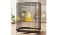 Compact Bird Mirror with Perch and Slow Feeder Rounded Parrot Mirror with Feeder Shatterproof Interactive Bird Toy Sturdy for Budgies
