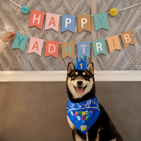 party banner set