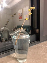 日式简约透明玻璃花瓶插花瓶干花水培小花瓶家居茶桌装饰摆件客厅