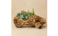 Tree Root Stump Planter Wood-Grain Tree Root Planter Bronze Finish