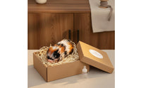 Silicone Pig Toy Realistic Pig Toy Cute Farm Animal Figures for Kids, Playtime