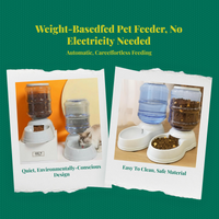 Large auto pet water dispenser