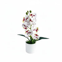 Artificial Bloom Plant Maintenanceno-Maintenance Phalaenopsis Flower Pot
