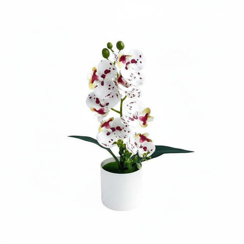 Artificial Bloom Plant Maintenanceno-Maintenance Phalaenopsis Flower Pot