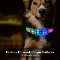 High Visibility LED Pet Collar Multiple Flash Modes Light up Pet Collar Adjustable
