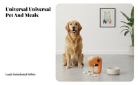 Food Launching launcher single-Button Operation Pet Food Boredom Relief Treat dispenser for feline Owners, play session, Indoors, Training occasions