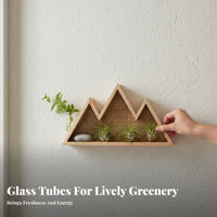 Geometric Display Ledge Nordic Design Plant Holder Hydroponic Planter