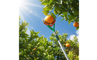 Extendable Fruit Picker with Telescopic Pole Adjustable Telescoping Fruit Picker Pole High-Reach Tool Manual for Orchardists, Gardeners, Orchard, Garden, Backyard