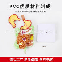 人体消化系统模型 胃解剖 大肠 盲肠 直肠 十二指肠 人体内脏构造