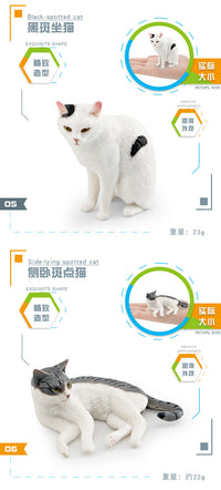 PVC Cat Figurine Set for Children's Educational Play