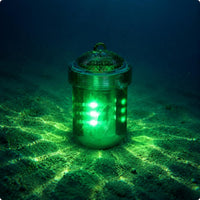 4 Pieces Deep Sea Fishing Light Compact and Portable Underwater Fishing Lamp