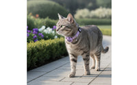 Waterproof Cat Collar with Tracker Bluetooth Cat Tracker No Monthly Fee Pet Tracking Collar Long Battery Life for Cats, Kittens, Outdoor, Travel