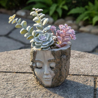 Divine Face Planter Weather-Resistant Divine Head Planter for Patio, Balcony