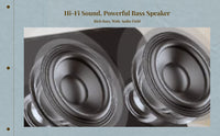 Wall mount speaker amplifier