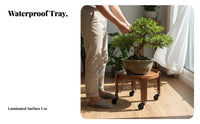 Wheeled Plant stand Easy to Move Wheeled Pot stand substantial Duty for Living Room