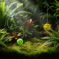 Feeding Ball with Suction Cup Interactive Reptile Feeder Ball Hollow for Lizards