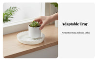 Lattice Pattern Drainage Tray Thickened Round Planter Base long-enduringing for Living Room
