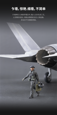 Xinghe Moban Asian Fighter Pilot 1/48 3D Printed Model