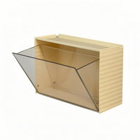 Wall-Mounted Storage Box PET Clear Plastic Organizer Transparent for Entryway