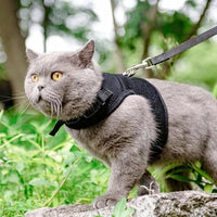 Cat Harness and Leash Set, Polyester Vest Walking Cat Harness for Outdoor Adventures, Customizable Sizing for Secure and Comfortable Leash Walking