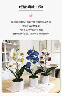 直筒盆仿真五朵蝴蝶兰盆景居家办公装饰假花盆栽摄影布置绿植摆件