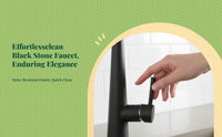 Black stone pull-down faucet