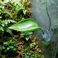 Realistic Oval Foliage Basking Ledge for Climbing Reptiles, Water-resistant Habitat with 5cm Suction Cup, Resting Spot for Tree Frogs and Reptiles