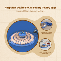 Egg incubator with auto turner