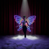 Butterfly Wing Light-up Costume Wing Accessory for Cosplayers, Dancers, Stage Performances, Dance