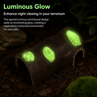 Snake Hide for Shedding, Vivarium Decoration, Naturalistic Resin Reptile Cave for Gecko & Snake, 14x9x5.5cm Luminous Shelter