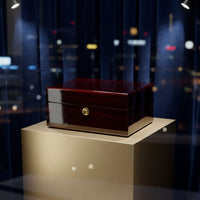 Watch Box with Pillow Hinged Case Sophisticated for Office