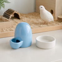 Ceramic Dog Bowl Set with Stand, No Spill Bowls, Raised Water Bowl, Glossy Finish, Easy Clean for Tidy Eating