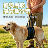 狗狗辅助带老龄犬上楼腿部背带走路狗腿护残疾疾复带跨境代发XJ