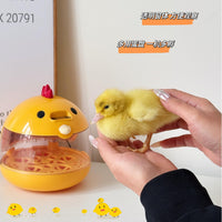 Small Smart Egg Incubator for Quail, Chicken, Bird, Duck, and Parrot