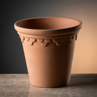 Plant Pots for House Plants and Indoor Plants, Pack of 3 Baroque Embossed Flower Pots, Terracotta Pots with Saucers and Drainage Holes, 6 Inch