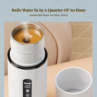 Portable car kettle, temp control