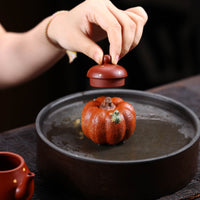 Ceramic Pumpkin Tea Pet Textured Tea Pet with Frog Handmade Frog Figurine Lobed for Collectors, Display Shelf