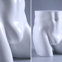 Lower Body Mannequin Hollow Male Mannequin Torso Abstract Display Form for Retailers