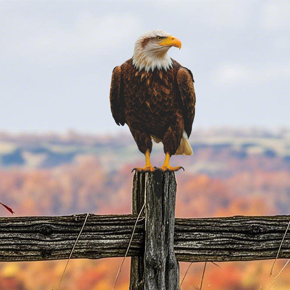 Metal Garden Animal Decorative Stake - Bird and Eagle