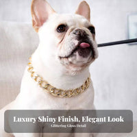 Gold Island Link Pet Adjustable Pet Island Link Chain Fashion Accessory for Cat Owners, Dog Lovers, Special Occasions, Photo Shoots, Daily Wear