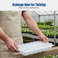 Mini Plastic Square Pot, Sprout Tray, Thumb Base Control, Lithops Nursery, Home Gardening