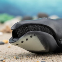 Realistic Bowhead Cetacean Model Educational Bowhead Cetacean Figurine