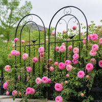 Garden Trellis, For Roses, Training, For Climbing Roses, Iron Fence, 50cm x 120cm, Metal Trellis