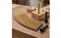 20 Pieces Threaded Hanger Bolt with Driver Bit Gold-Toned Hanger Bolts with Driver Bit Metal Fasteners High Strength for DIYers, Woodworkers