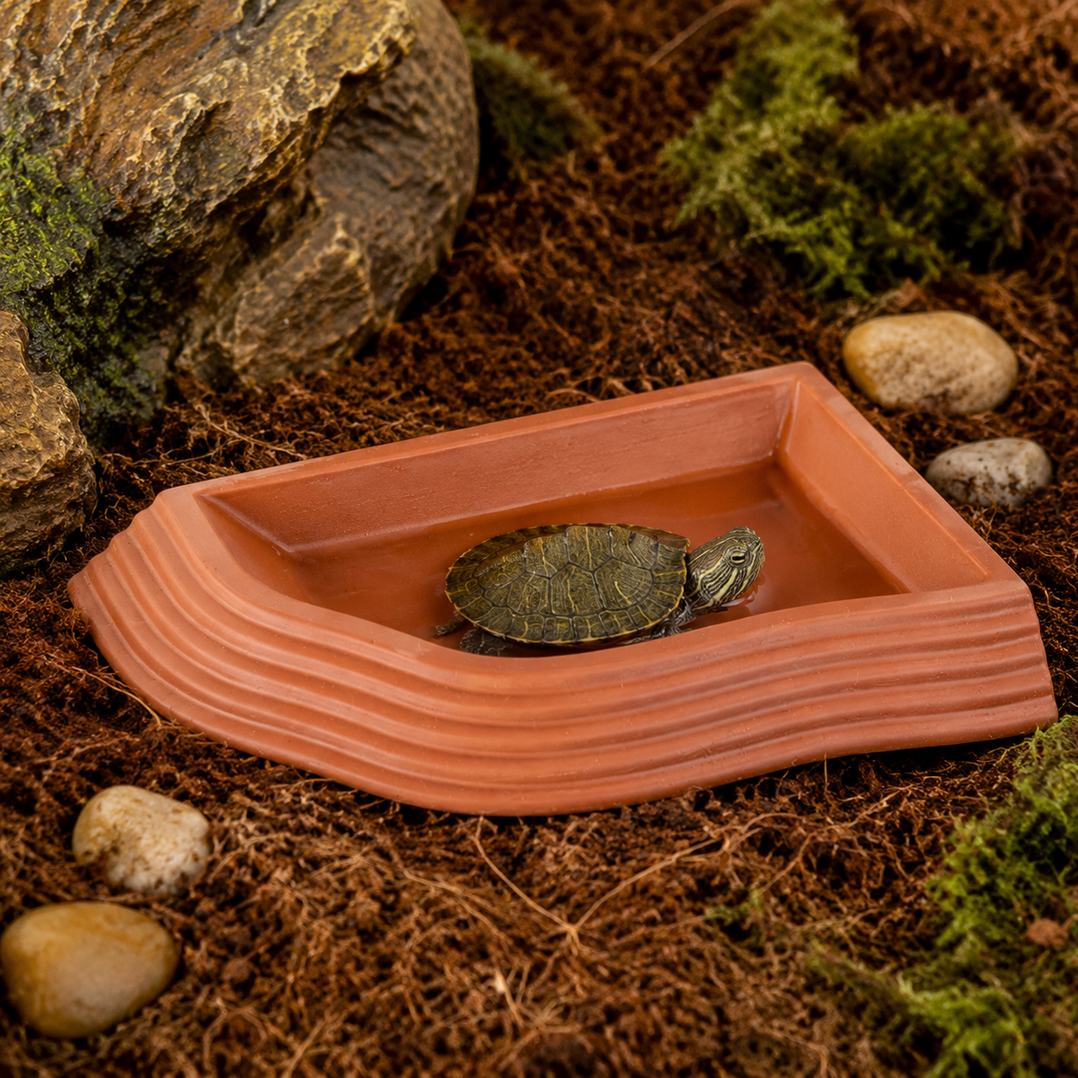 Reptile Water Dish, Water Feeder, For Tortoises, For Terrariums, Plastic, Small, 18.5×14×2.5cm, Easy to Clean