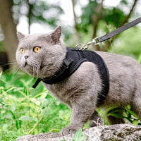 Cat Harness and Leash Set, Polyester Vest Walking Cat Harness for Outdoor Adventures, Customizable Sizing for Secure and Comfortable Leash Walking