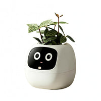 Face Planter Glossy Black Desktop Planter Rounded