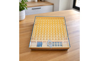 Queen Rearing Box Transparent Queen Rearing Container Ventilated Equipment for Beekeepers, Beehive, Apiary