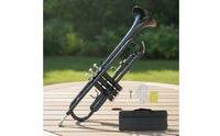 Trumpet Lacquered Trumpet with Case Compact Brass Instrument for Beginners, Practice
