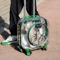 Transparent Pet Carrier Backpack